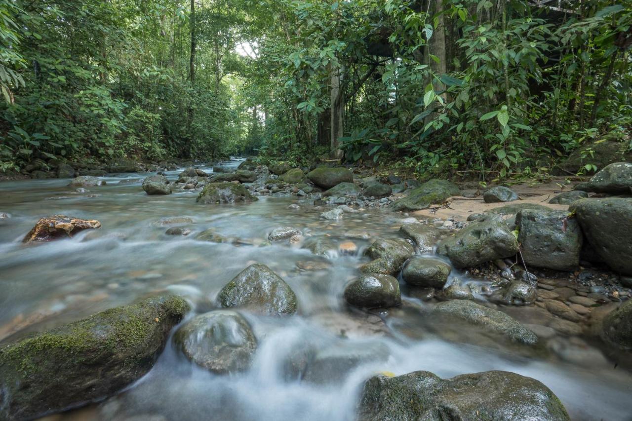 Cabanas Del Rio La Fortuna Luaran gambar