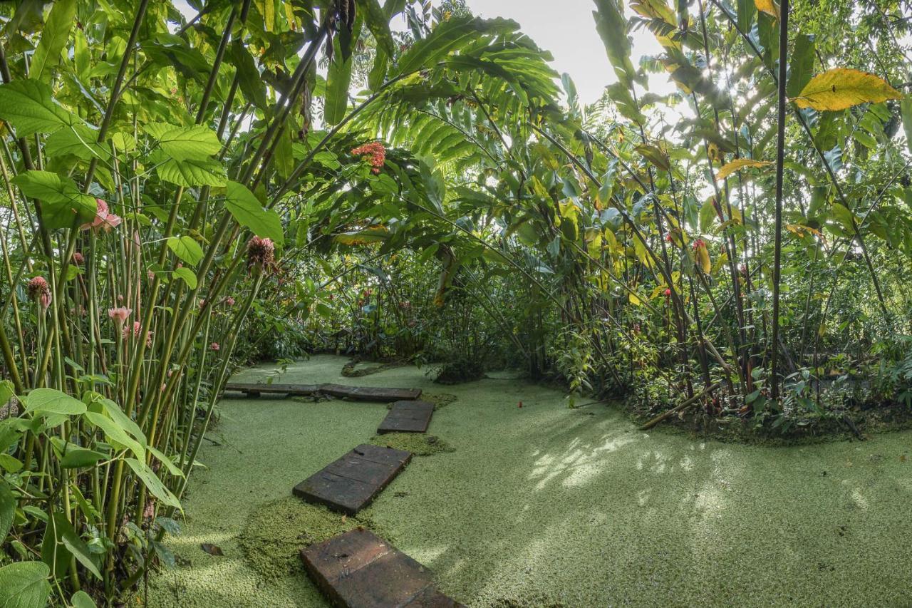 Cabanas Del Rio La Fortuna Luaran gambar